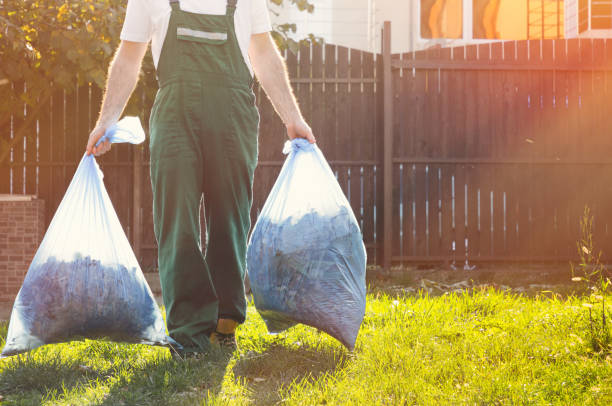 Best Mattress Removal Service  in Mount Pleasant, MI